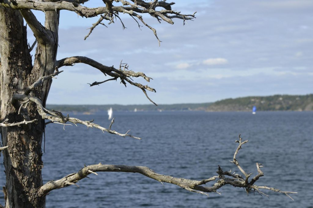 Klubbholmen 11