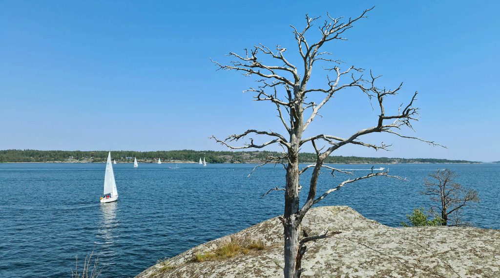 Klubbholmen 6
