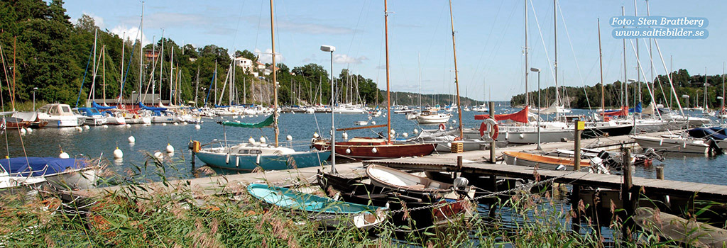 batklubben19b