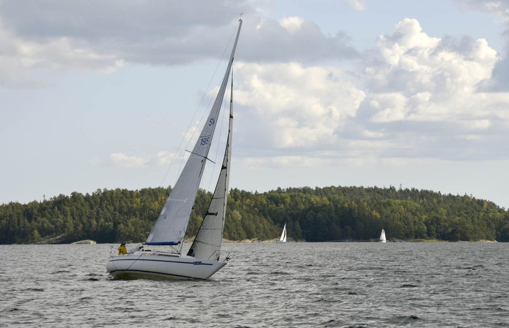 Saltis Racet 26