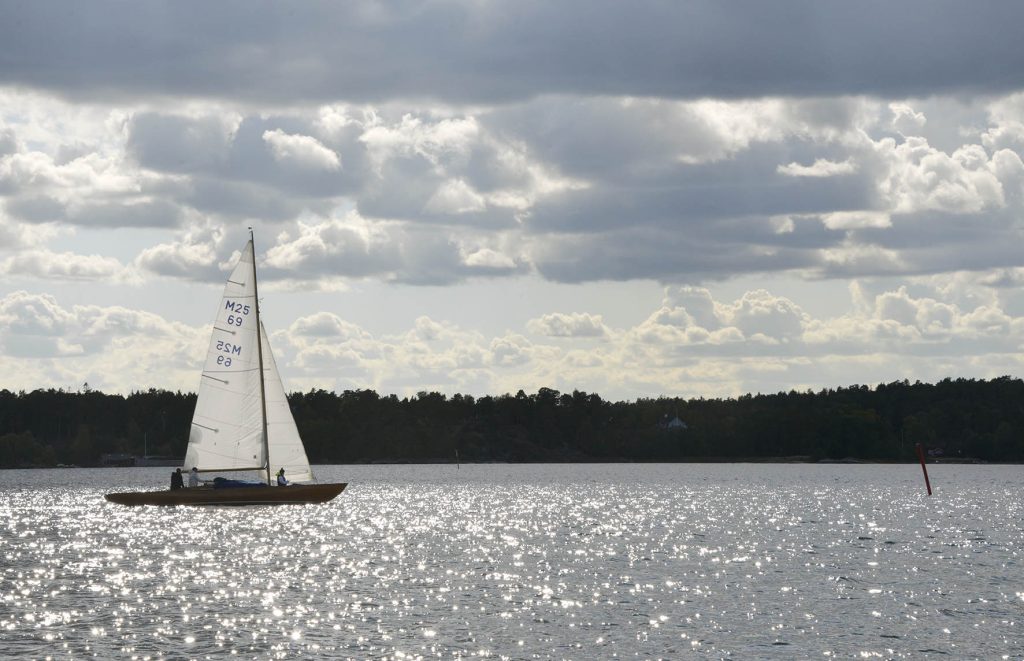 Saltis Racet 29