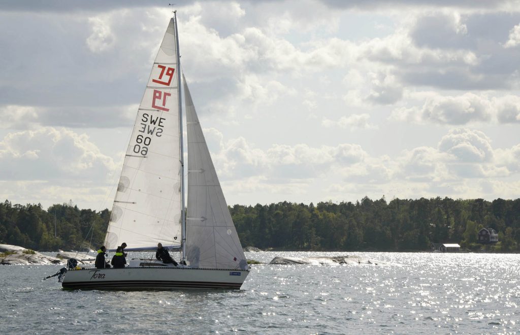 Saltis Racet 31