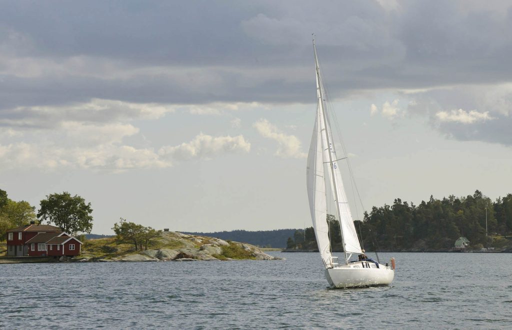 Saltis Racet 36