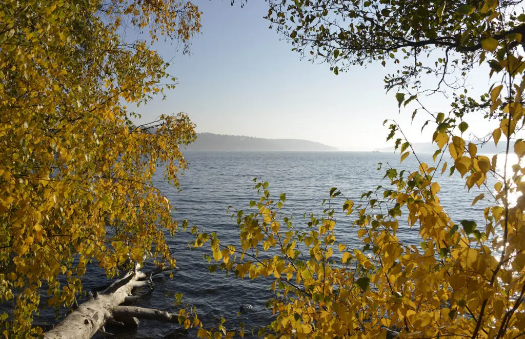 Baggensfjarden-15
