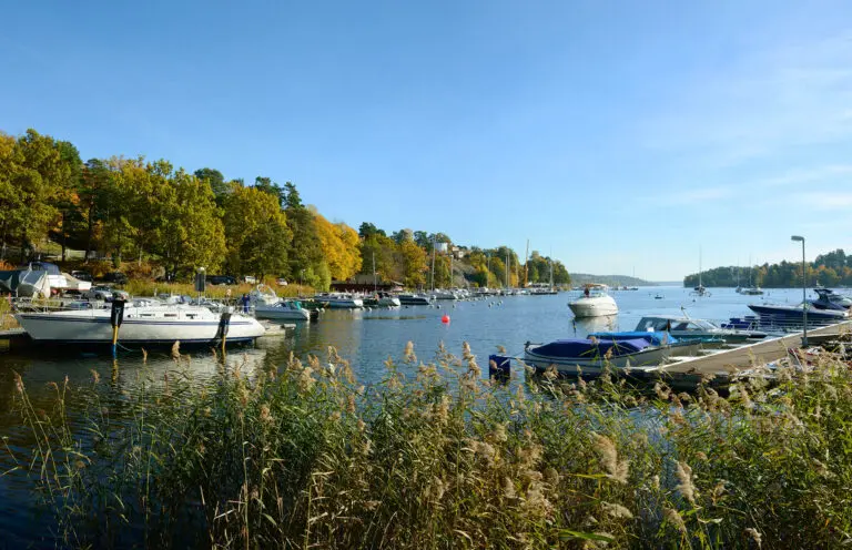 Säl korsade Baggen