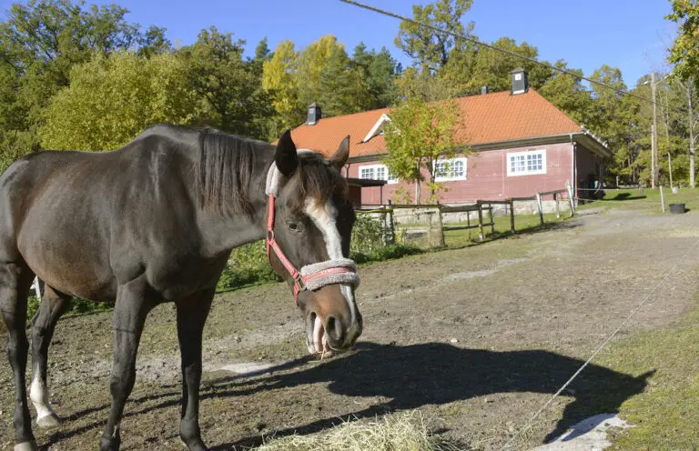 Landplatserna nu fördelade